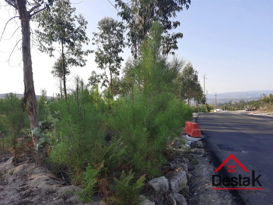 Terreno para Venda em Campia Foto 6