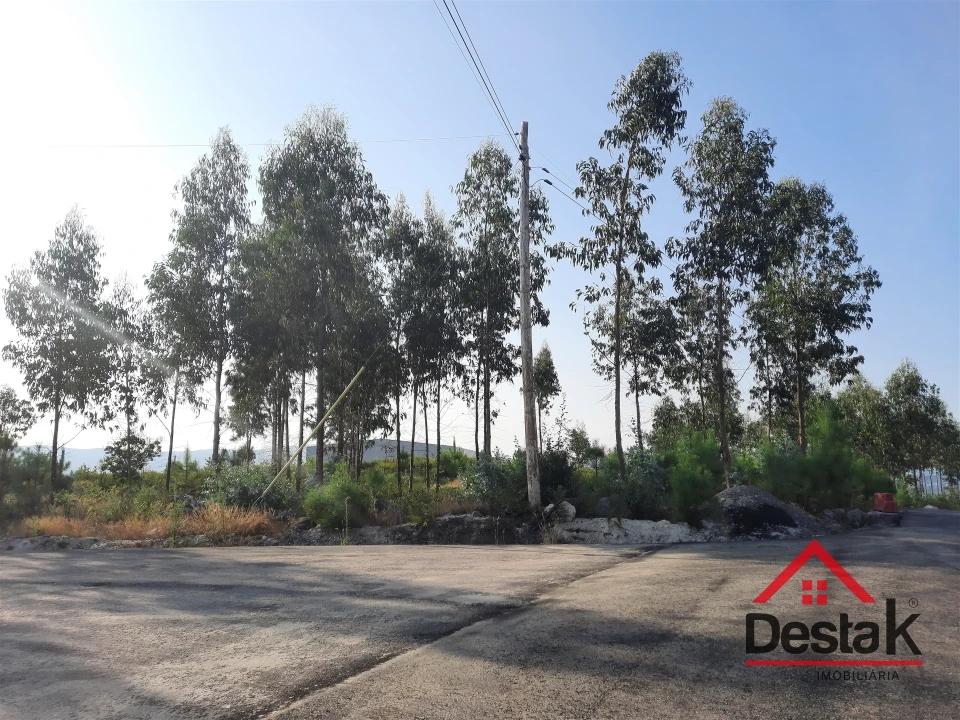 Terreno para Venda em Campia Foto 7