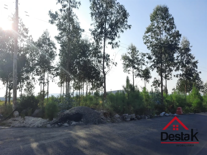 Terreno para Venda em Campia Foto 3