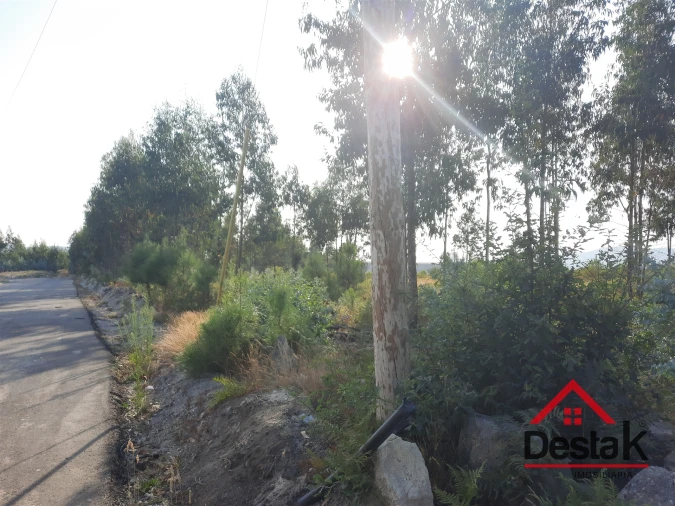 Terreno para Venda em Campia Foto 2