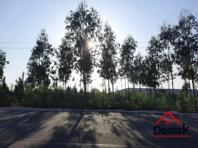 Terreno para Venda em Campia Foto 8