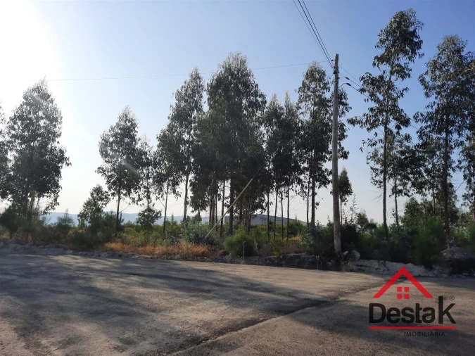 Terreno para Venda em Campia