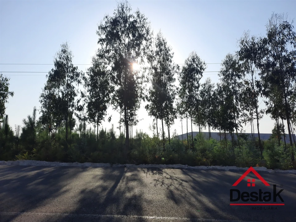 Terreno para Venda em Campia Foto 8