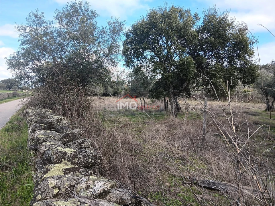 Terreno Agricola ou Rústico para Venda em Santo Antonio das Areias Foto 2