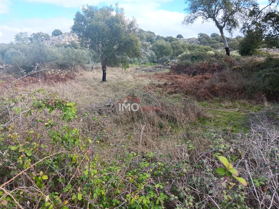 Terreno Agricola ou Rústico para Venda em Santo Antonio das Areias Foto 7