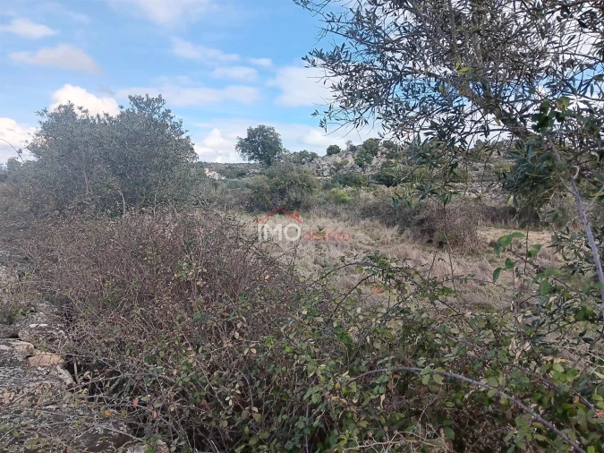 Terreno Agricola ou Rústico para Venda em Santo Antonio das Areias Foto 8