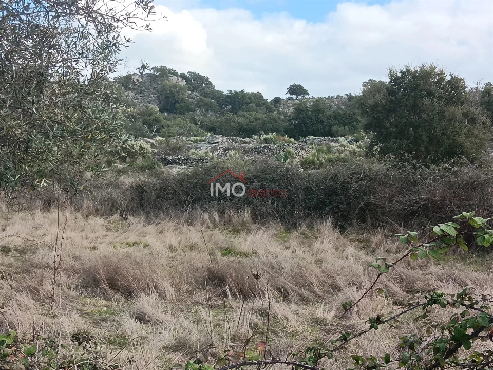 Terreno Agricola ou Rústico para Venda em Santo Antonio das Areias Foto 9
