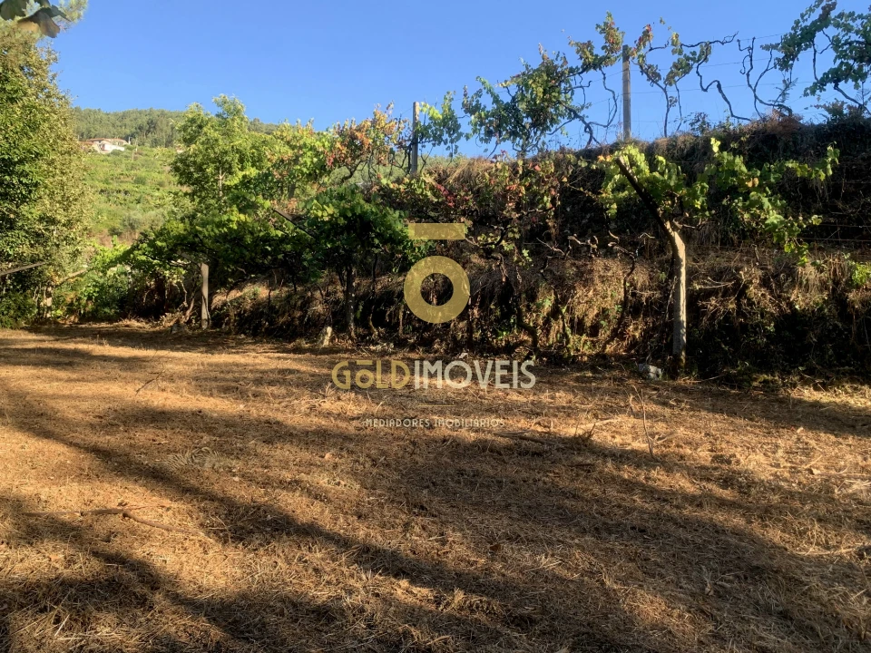 Terreno Agricola ou Rústico para Venda em Travanca Foto 11