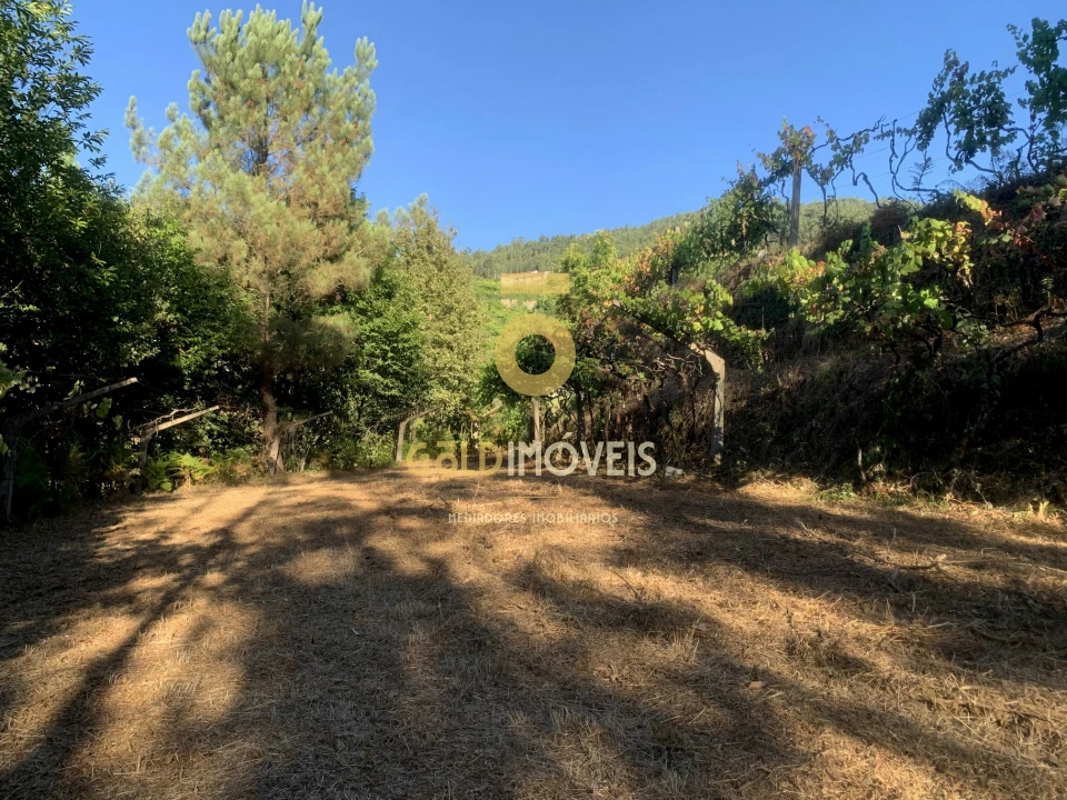 Terreno Agricola ou Rústico para Venda em Travanca Foto 12