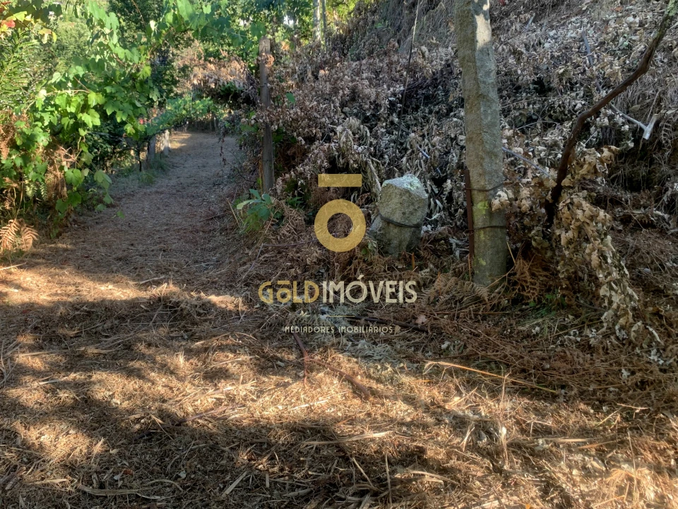 Terreno Agricola ou Rústico para Venda em Travanca Foto 9