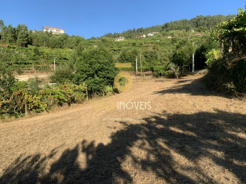 Terreno Agricola ou Rústico para Venda em Travanca Foto 6