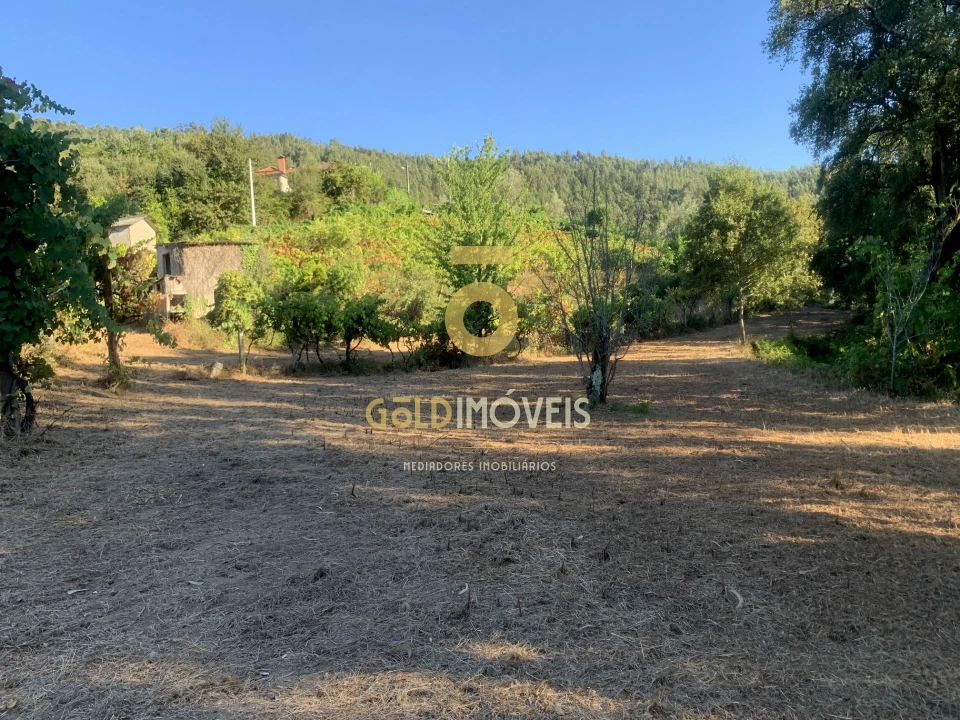 Terreno Agricola ou Rústico para Venda em Travanca Foto 7