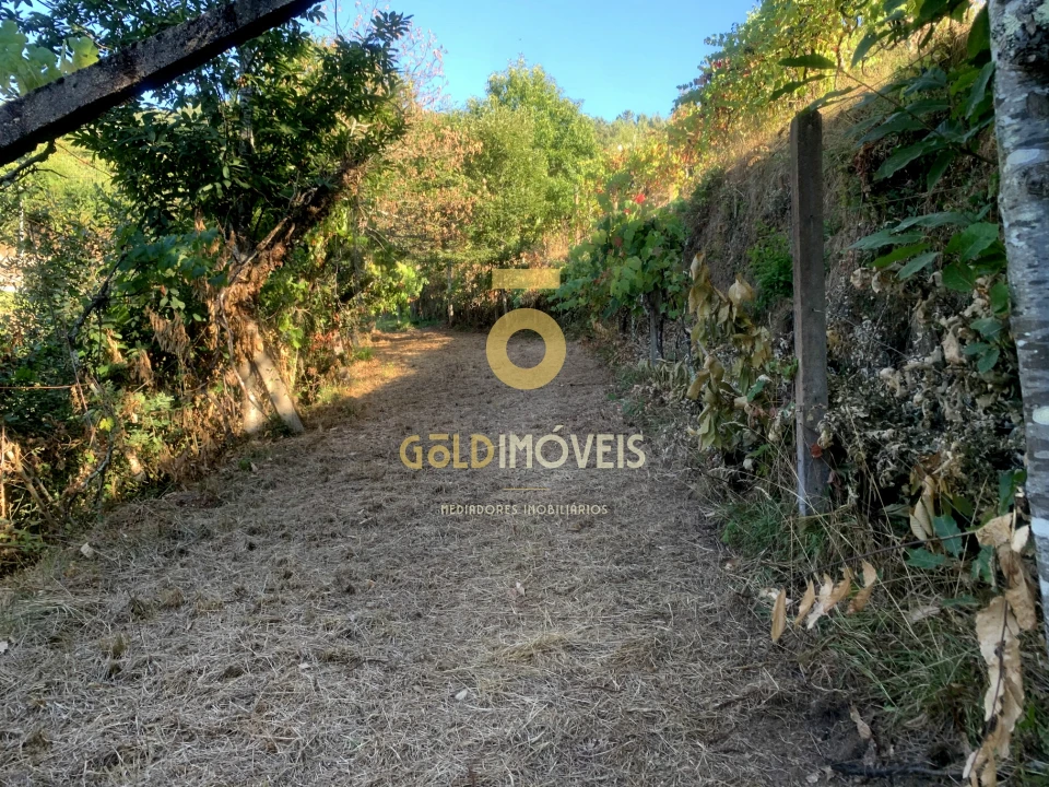 Terreno Agricola ou Rústico para Venda em Travanca Foto 10