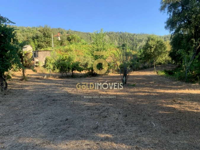 Terreno Agricola ou Rústico para Venda em Travanca Foto 7