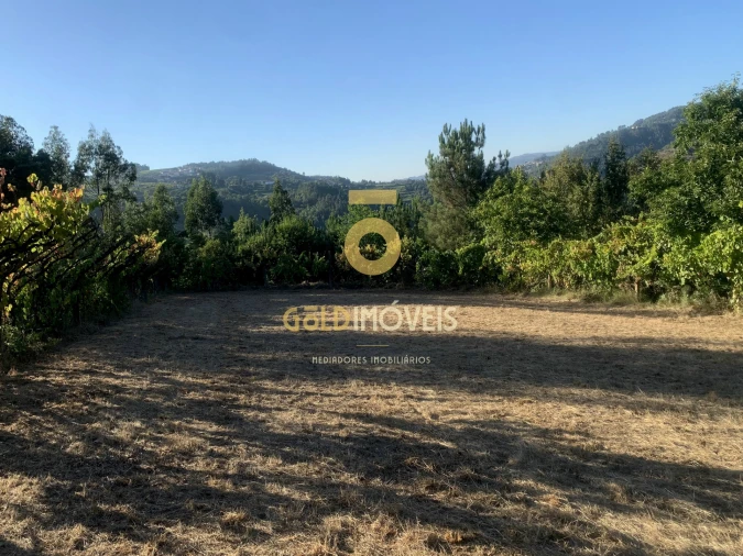 Terreno Agricola ou Rústico para Venda em Travanca Foto 4