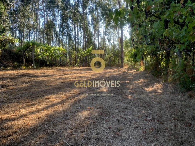 Terreno Agricola ou Rústico para Venda em Travanca Foto 8