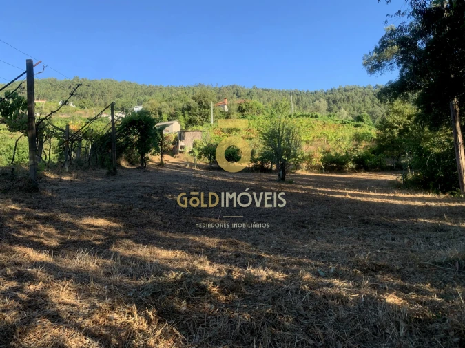 Terreno Agricola ou Rústico para Venda em Travanca Foto 5