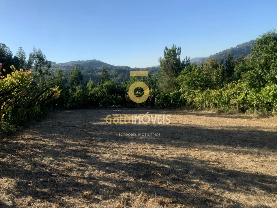 Terreno Agricola ou Rústico para Venda em Travanca Foto 4