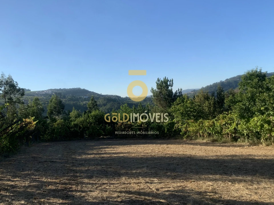 Terreno Agricola ou Rústico para Venda em Travanca Foto 1