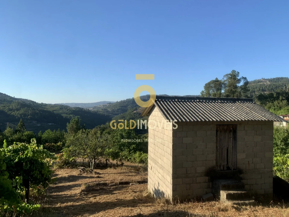 Terreno Agricola ou Rústico para Venda em Travanca Foto 2