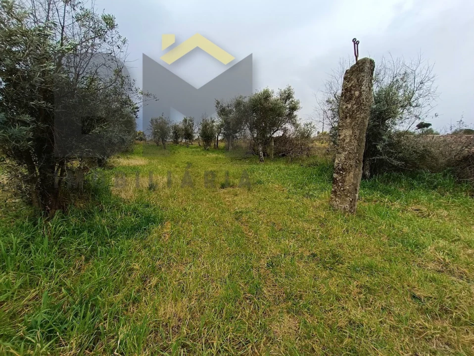 Moradia T6 para Venda em Escalos de Cima e Lousa Foto 46