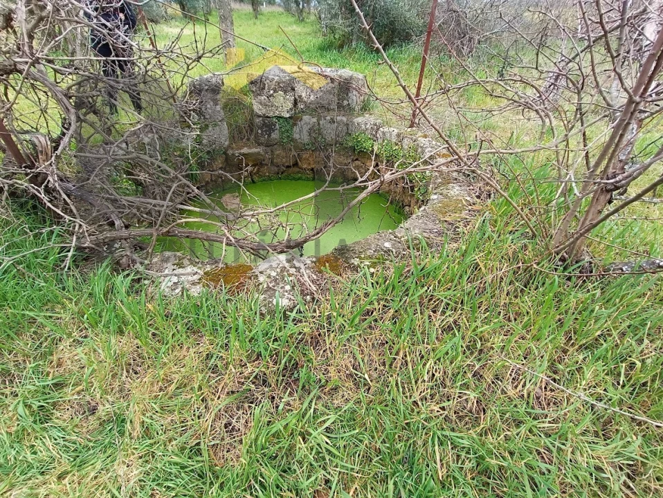 Moradia T6 para Venda em Escalos de Cima e Lousa Foto 48