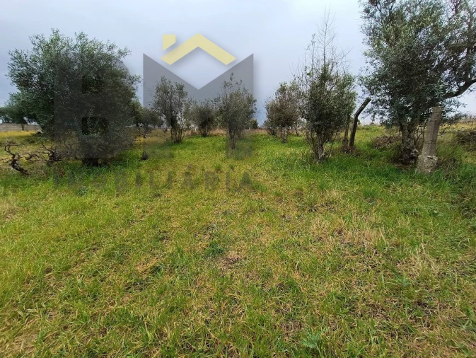 Moradia T6 para Venda em Escalos de Cima e Lousa Foto 44