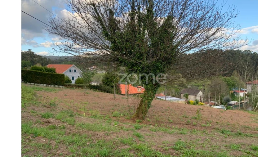 Terreno para Venda em Travassos Foto 1