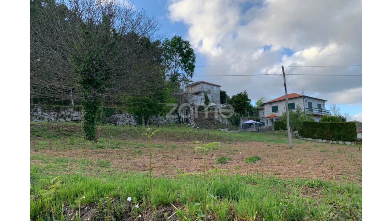 Terreno para Venda em Travassos Foto 3