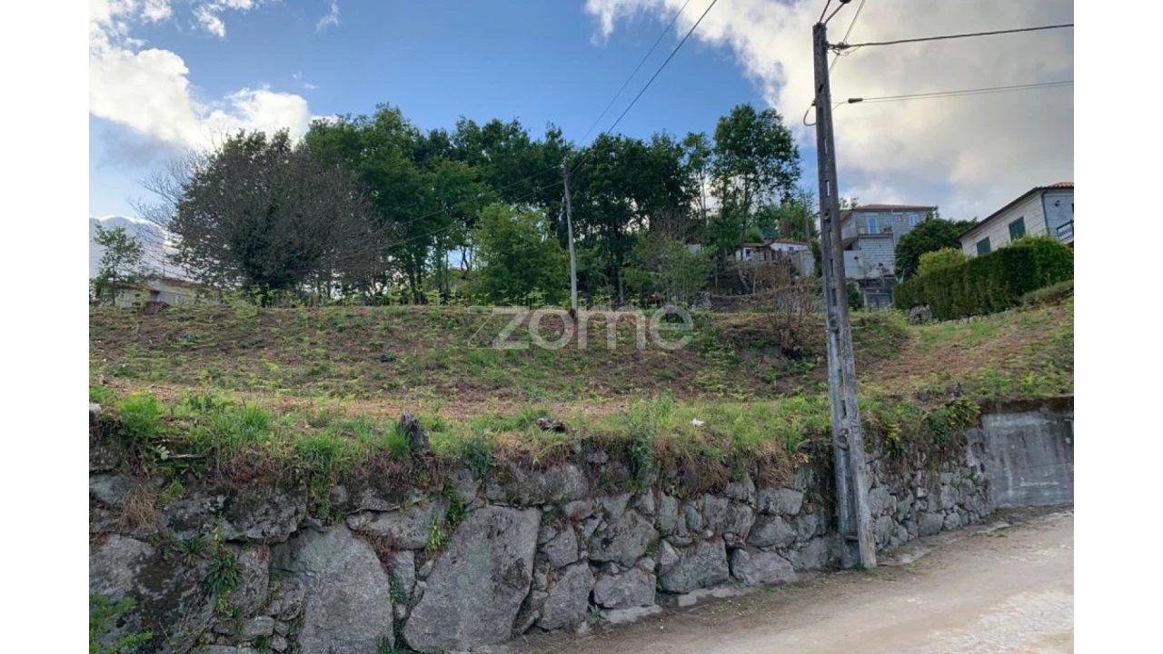 Terreno para Venda em Travassos Foto 4