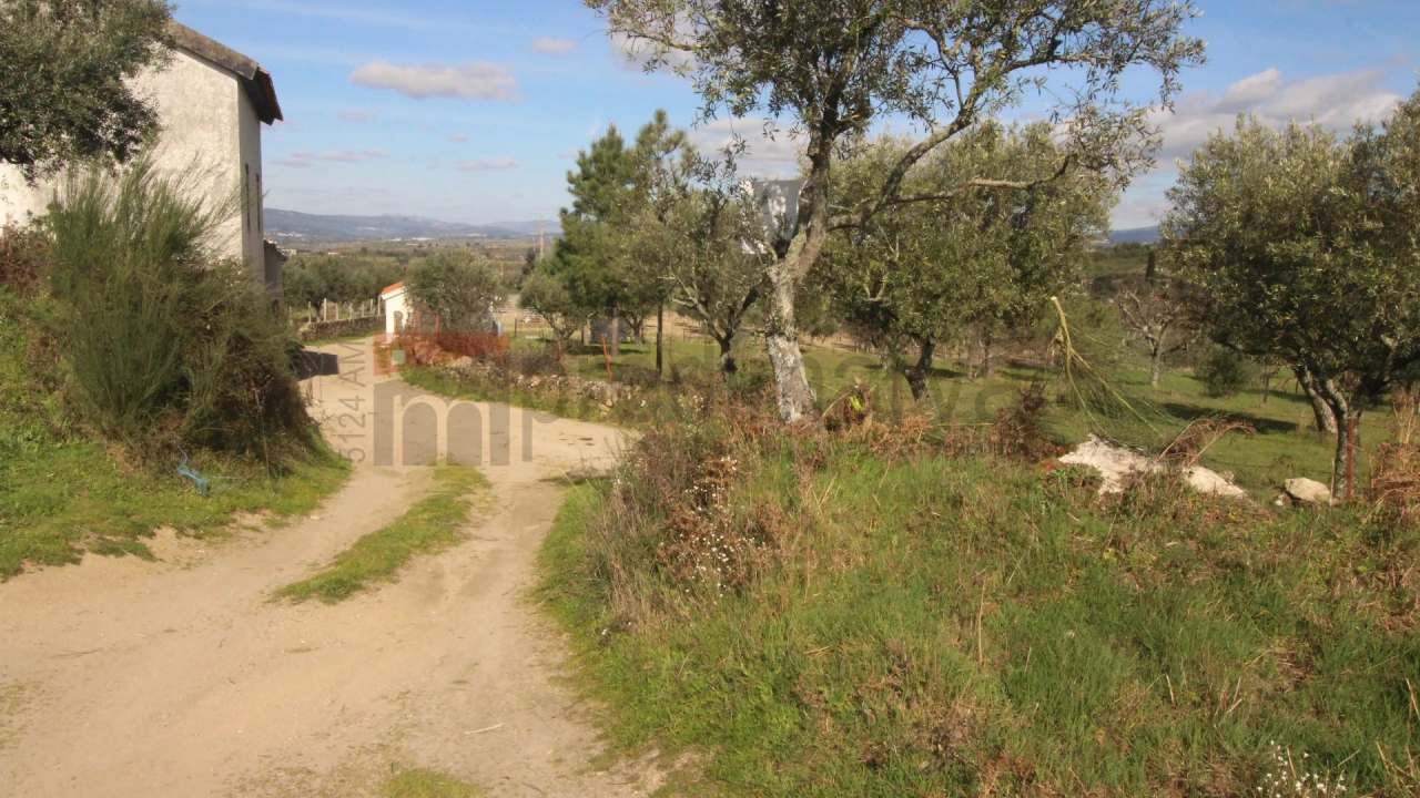 Terreno Agricola ou Rústico para Venda em São Paio Foto 7