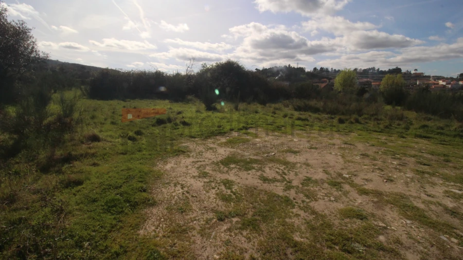 Terreno Agricola ou Rústico para Venda em São Paio Foto 4