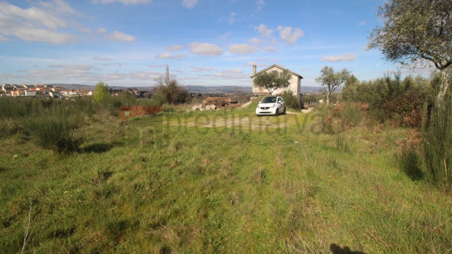 Terreno Agricola ou Rústico para Venda em São Paio Foto 6