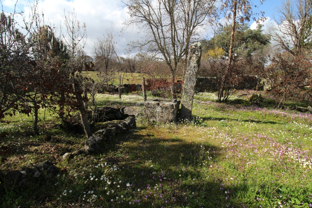 Quinta T0 para Venda em Rio Torto e Lagarinhos Foto 3