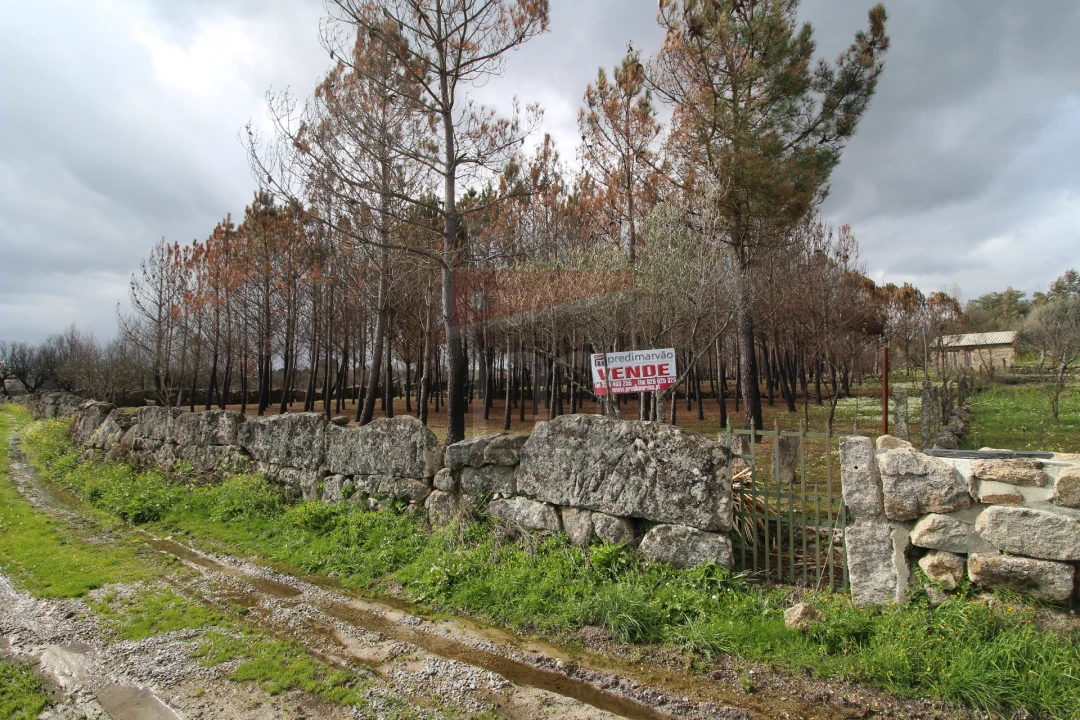 Quinta T0 para Venda em Rio Torto e Lagarinhos Foto 11