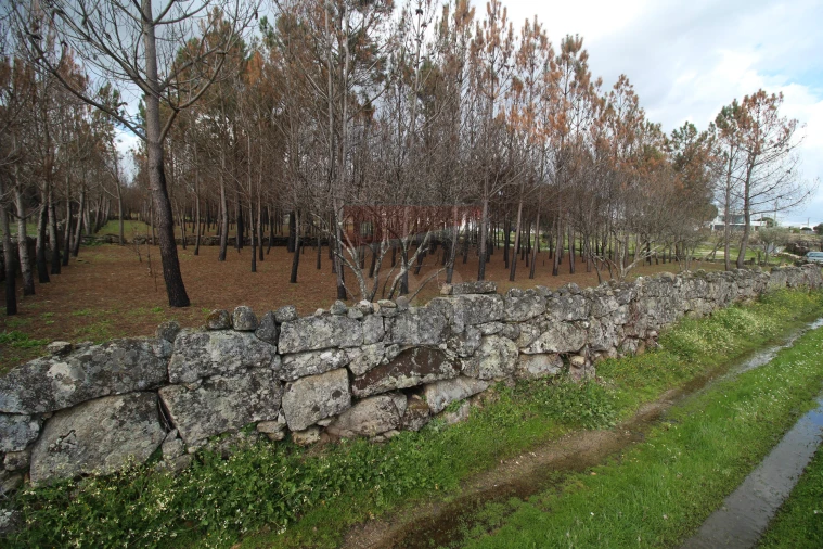 Quinta T0 para Venda em Rio Torto e Lagarinhos Foto 10