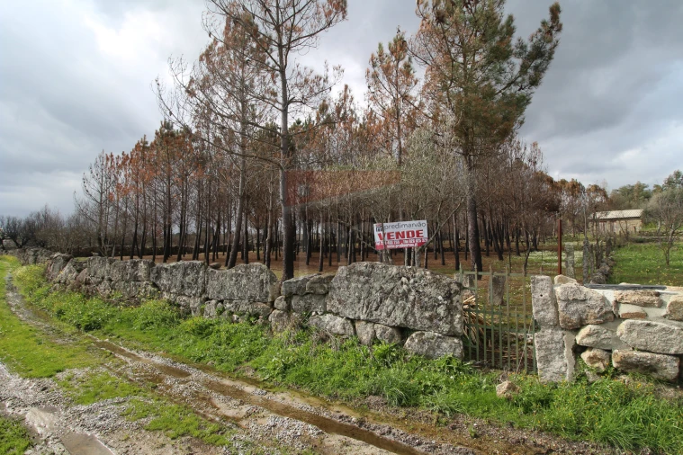 Quinta T0 para Venda em Rio Torto e Lagarinhos Foto 11
