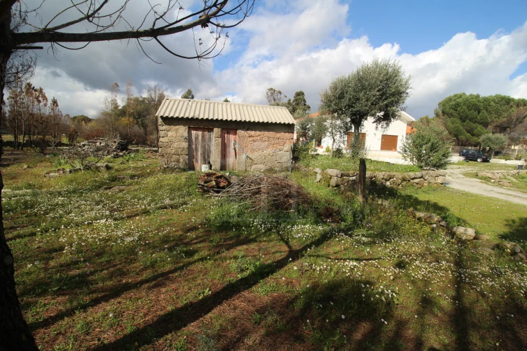 Quinta T0 para Venda em Rio Torto e Lagarinhos Foto 7