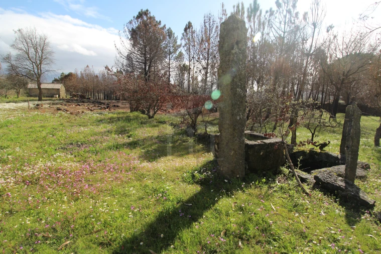 Quinta T0 para Venda em Rio Torto e Lagarinhos Foto 5