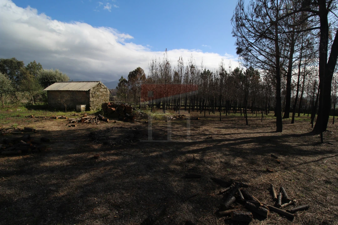 Quinta T0 para Venda em Rio Torto e Lagarinhos Foto 2