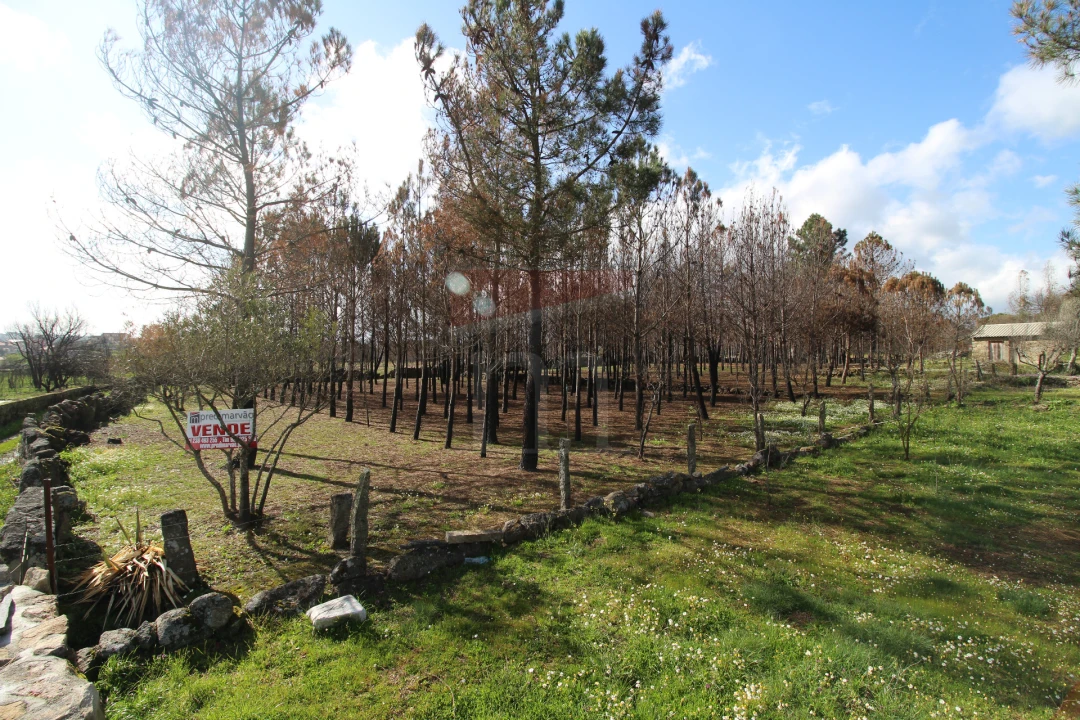 Quinta T0 para Venda em Rio Torto e Lagarinhos Foto 1