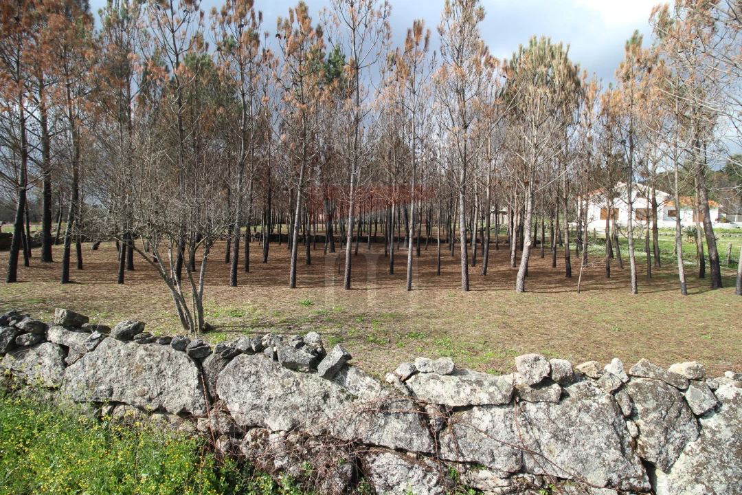 Quinta T0 para Venda em Rio Torto e Lagarinhos Foto 8