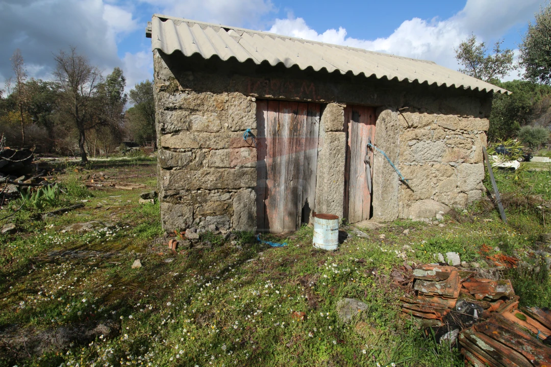 Quinta T0 para Venda em Rio Torto e Lagarinhos Foto 6