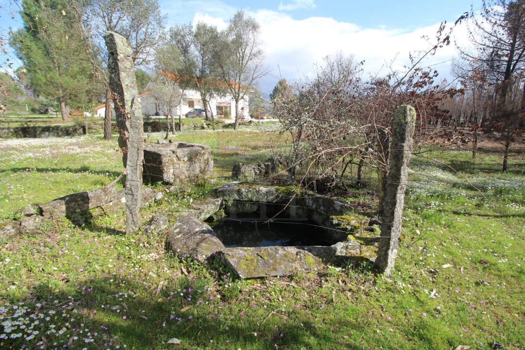 Quinta T0 para Venda em Rio Torto e Lagarinhos Foto 4