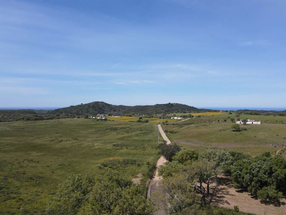 Terreno Agricola ou Rústico para Venda em Grândola e Santa Margarida da Serra Foto 3