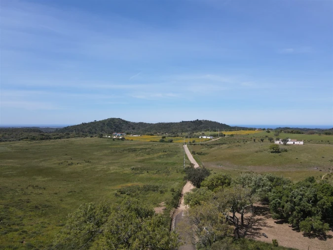 Terreno Agricola ou Rústico para Venda em Grândola e Santa Margarida da Serra Foto 3