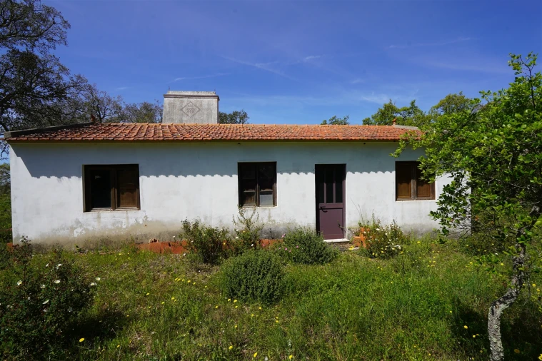 Terreno Agricola ou Rústico para Venda em Grândola e Santa Margarida da Serra Foto 8