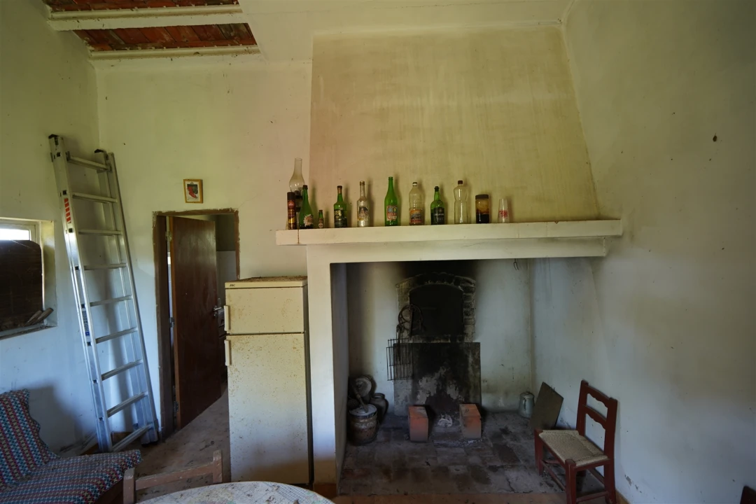 Terreno Agricola ou Rústico para Venda em Grândola e Santa Margarida da Serra Foto 12