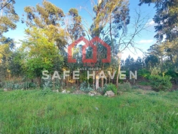 Terreno para Venda em Mangualde, Mesquitela e Cunha Alta