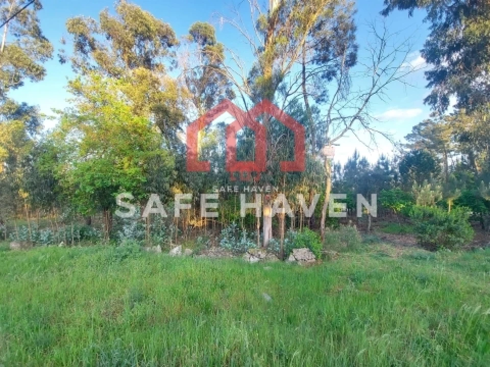 Terreno para Venda em Mangualde, Mesquitela e Cunha Alta Foto 3